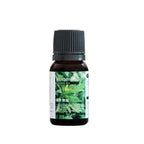 Bottle of wormwood essence oil with a green label on a white background