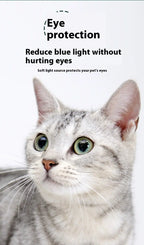 Charging projection cat teasing flashlight with red and green light projections, made from durable stainless steel for interactive play with pets