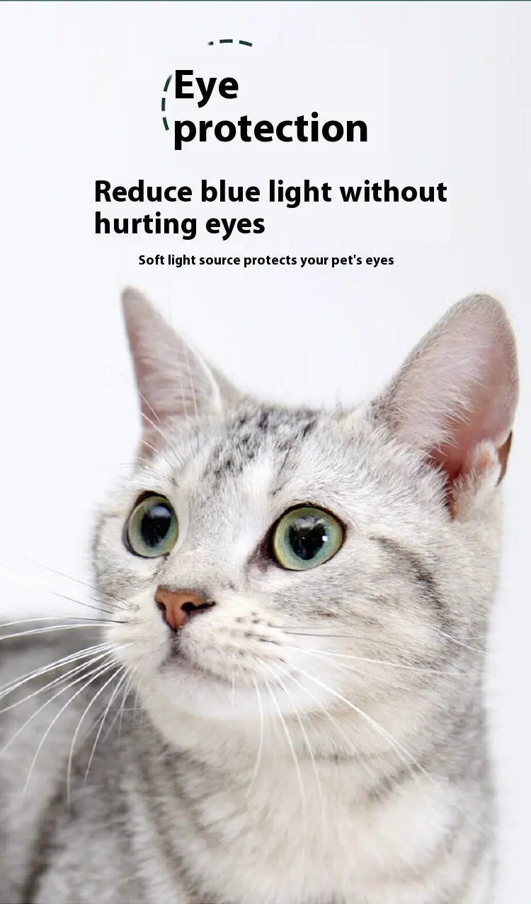 Charging projection cat teasing flashlight with red and green light projections, made from durable stainless steel for interactive play with pets