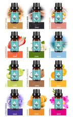 INELECTRON ™ - Fireless Essential Oil Air Freshener – 10ml Scented Liquid Aromatherapy Diffuser for Home or Office Inelectron Store