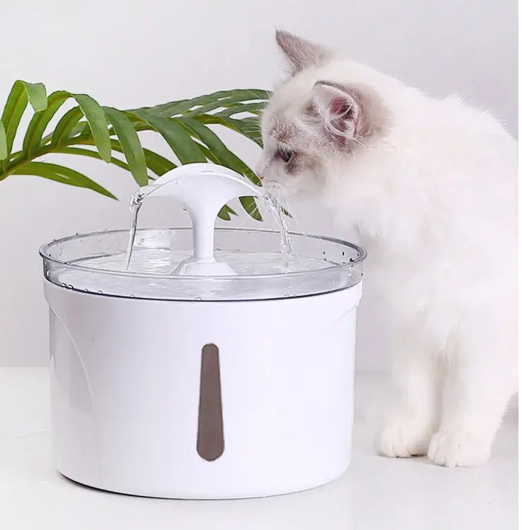 Pet drinking from the smart circulating water dispenser