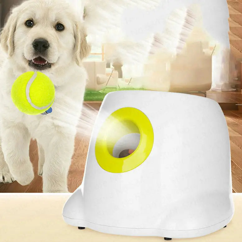 Dog Pet Automatic Interactive Ball Launcher Inelectron Store