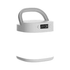 Modern light luxury style table lamp with LED lighting and elegant design