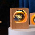 Beech Crystal Ball Night Light with 3D Laser Engraving of Elk and Jellyfish, USB Dimmable Lamp for Bedroom Decoration